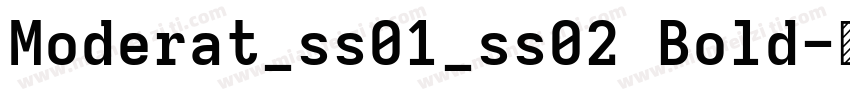 Moderat_ss01_ss02 Bold字体转换